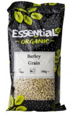 Image for Barley Grain