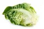 Image for Lettuce - Little Gem
