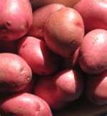 Image for Potatoes - Washed Reds