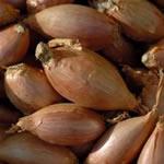 Image for Shallots