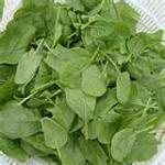 Image for Spinach
